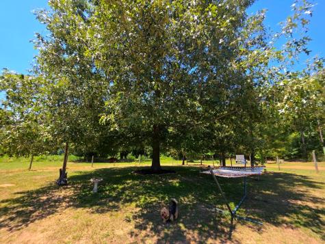 1020 Barnett Cross Hill SC 29332