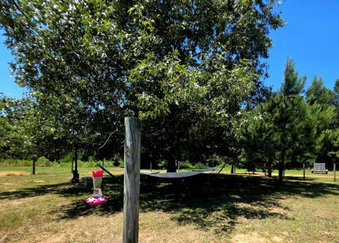1020 Barnett Cross Hill SC 29332