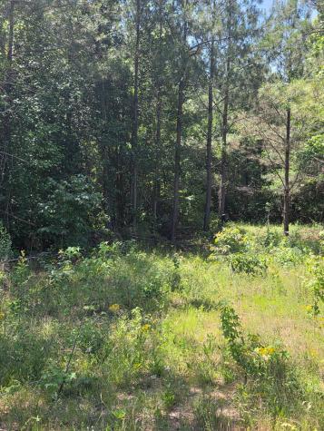 1020 Barnett Cross Hill SC 29332
