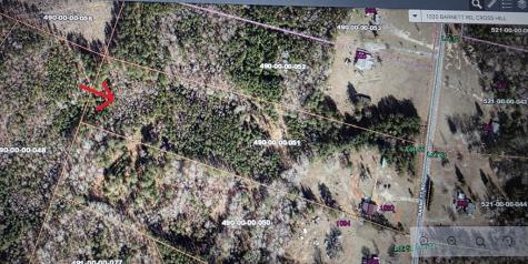 1020 Barnett Cross Hill SC 29332