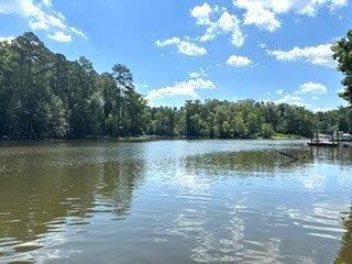 773 Harbor View Drive Prosperity SC 29127