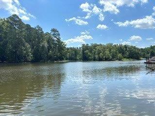 773 Harbor View Drive Prosperity SC 29127
