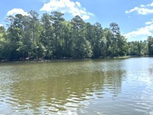 773 Harbor View Drive Prosperity SC 29127