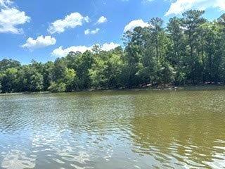 773 Harbor View Drive Prosperity SC 29127