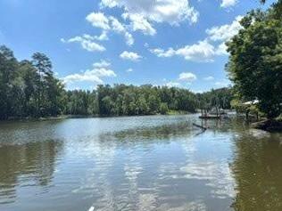773 Harbor View Drive Prosperity SC 29127