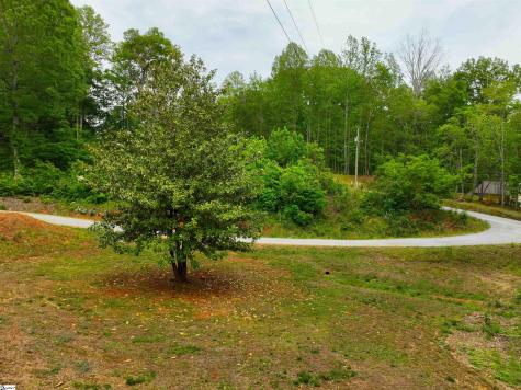 993 Barton Road Landrum SC 29356