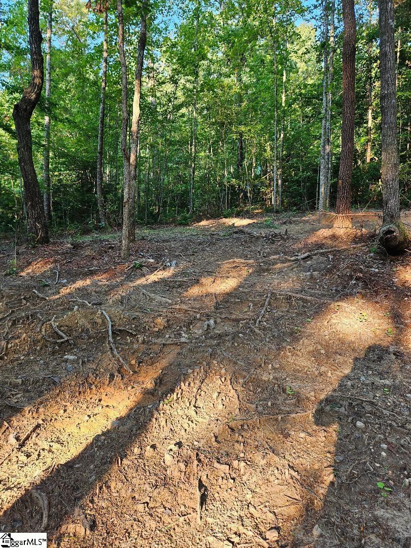 116 Fireside Lane Pickens SC 29671