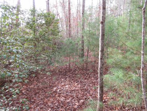 116 Fireside Lane Pickens SC 29671