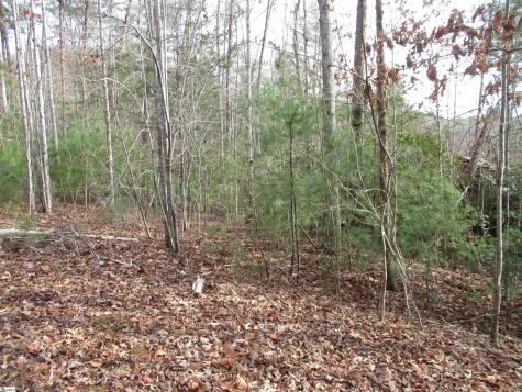 116 Fireside Lane Pickens SC 29671