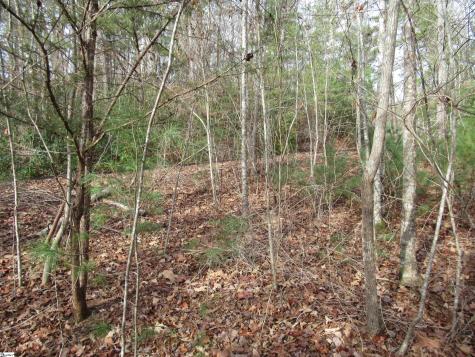 116 Fireside Lane Pickens SC 29671