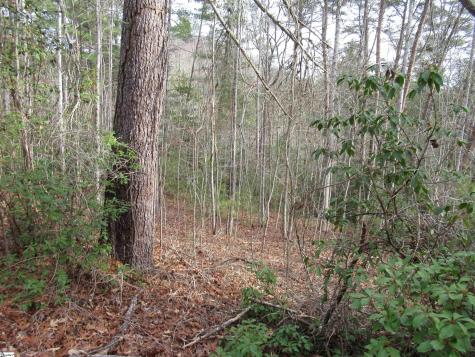 116 Fireside Lane Pickens SC 29671