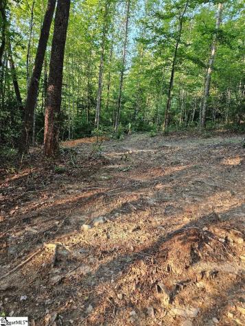 116 Fireside Lane Pickens SC 29671