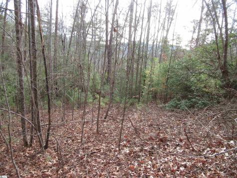 116 Fireside Lane Pickens SC 29671