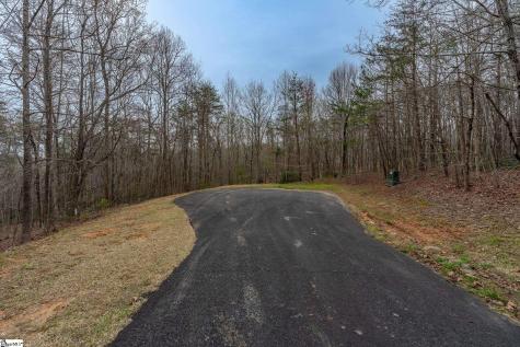56 Angleblade Road Landrum SC 29356