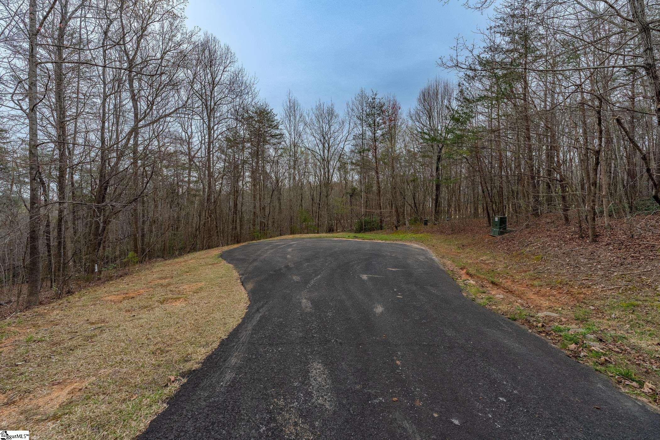 56 Angleblade Road Landrum SC 29356