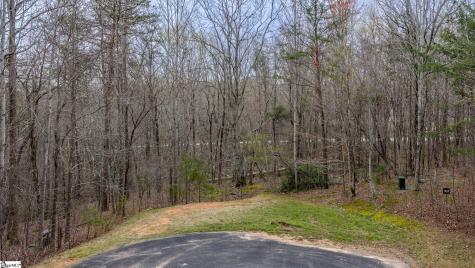 56 Angleblade Road Landrum SC 29356