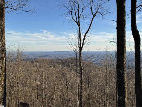 278 Bella Vista Court Zirconia NC 28790