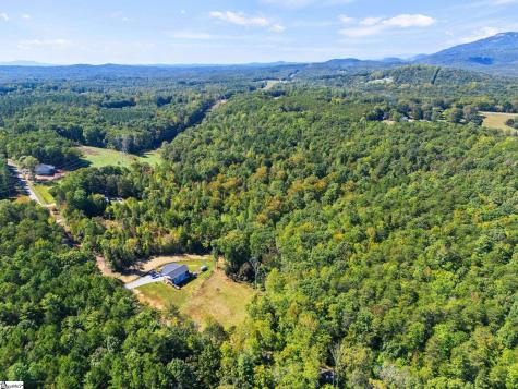 313 Arledge Road Landrum SC 29356