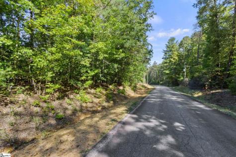313 Arledge Road Landrum SC 29356