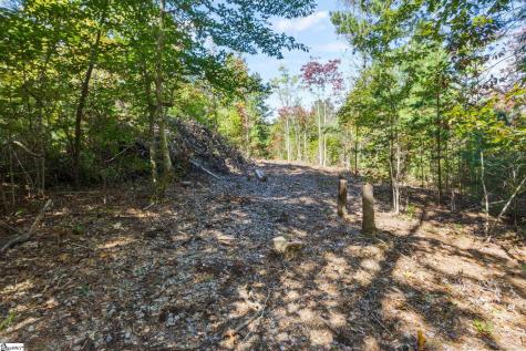 313 Arledge Road Landrum SC 29356
