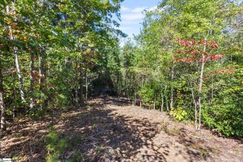 313 Arledge Road Landrum SC 29356