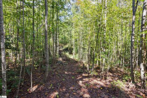 313 Arledge Road Landrum SC 29356