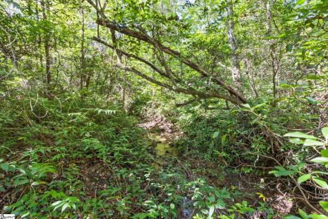 313 Arledge Road Landrum SC 29356