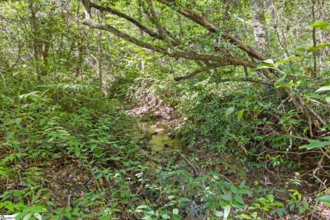 313 Arledge Road Landrum SC 29356