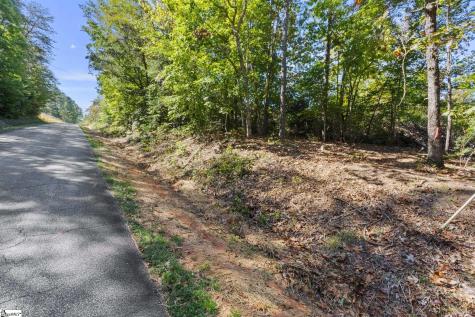 313 Arledge Road Landrum SC 29356