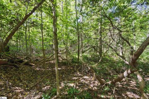 313 Arledge Road Landrum SC 29356