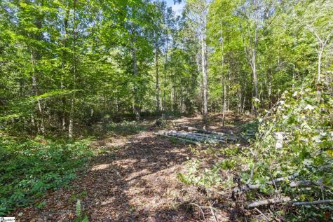 313 Arledge Road Landrum SC 29356