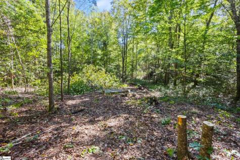 313 Arledge Road Landrum SC 29356