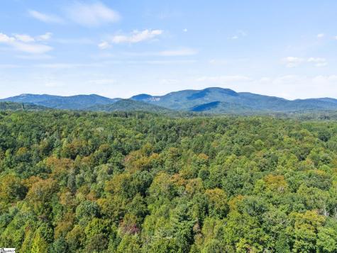 313 Arledge Road Landrum SC 29356