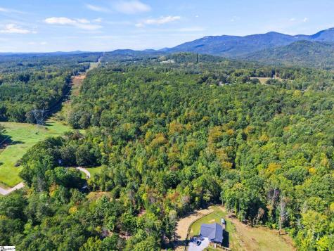 313 Arledge Road Landrum SC 29356