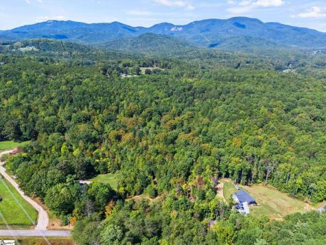 313 Arledge Road Landrum SC 29356