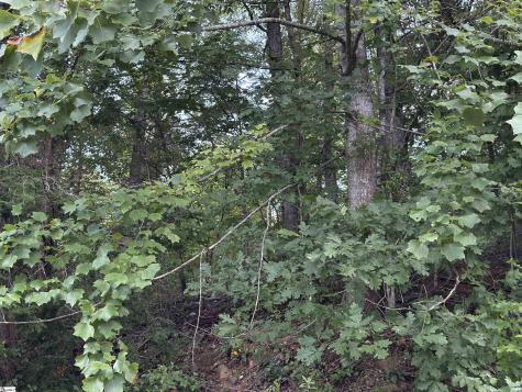 100 Cottage Side Trail Travelers Rest SC 29690