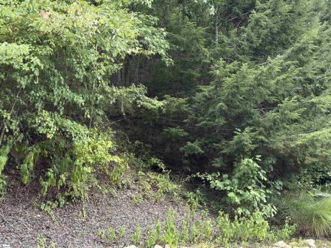 100 Cottage Side Trail Travelers Rest SC 29690