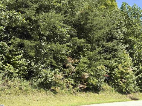 100 Cottage Side Trail Travelers Rest SC 29690
