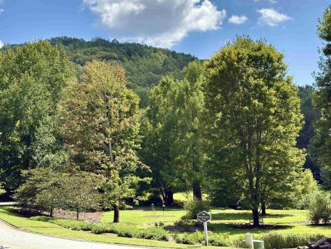100 Cottage Side Trail Travelers Rest SC 29690