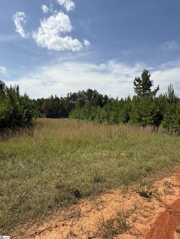 0 Walker Road Edgefield SC 29824