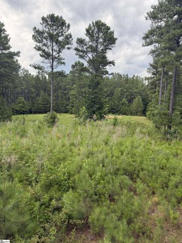 0 Walker Road Edgefield SC 29824