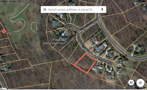 40 Blue Teal Way Landrum SC 29356