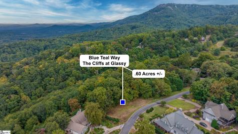 40 Blue Teal Way Landrum SC 29356