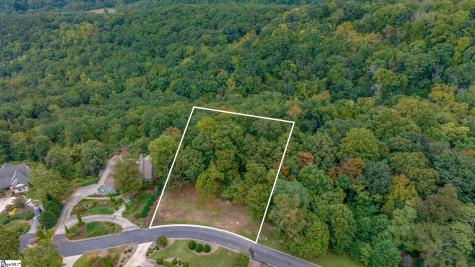 40 Blue Teal Way Landrum SC 29356