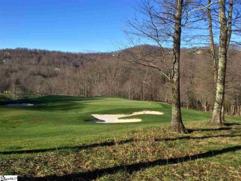 66 The Cliffs Parkway Landrum SC 29356