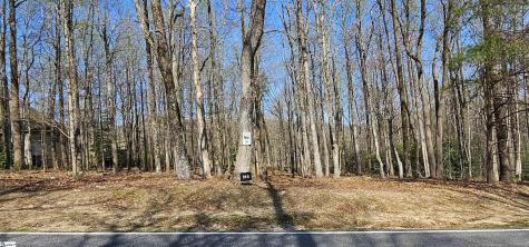 66 The Cliffs Parkway Landrum SC 29356