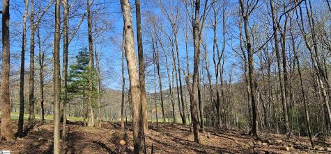 66 The Cliffs Parkway Landrum SC 29356
