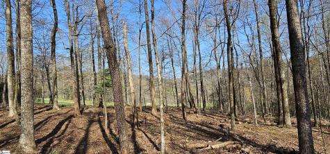 66 The Cliffs Parkway Landrum SC 29356