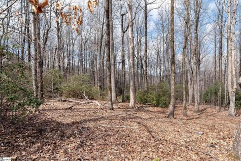 66 The Cliffs Parkway Landrum SC 29356
