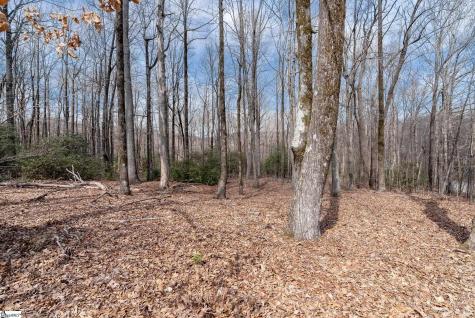 66 The Cliffs Parkway Landrum SC 29356